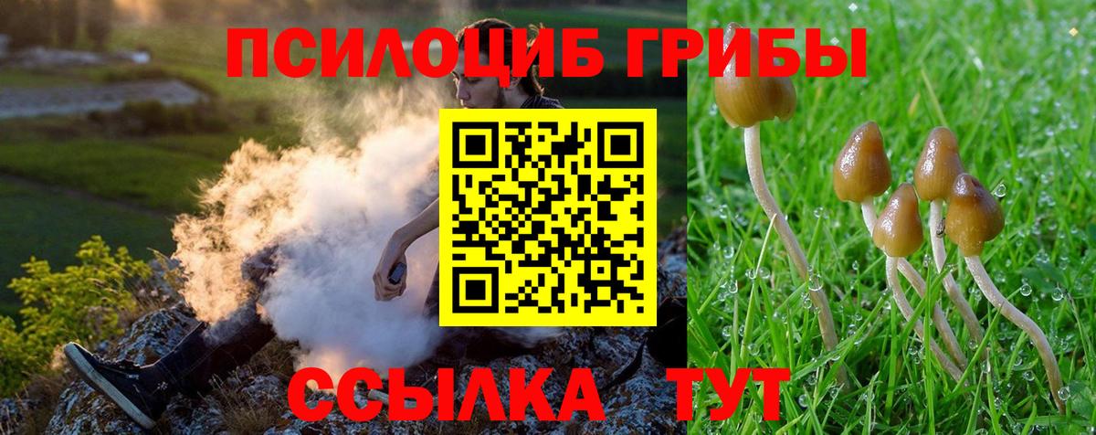 закладки  Вход с VPN  Лыткарино  Галлюциногенные грибы Cubensis  Псилоцибиновые грибы MAGIC MUSHROOMS 