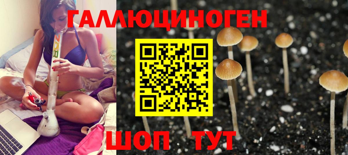 Псилоцибиновые грибы MAGIC MUSHROOMS Лыткарино